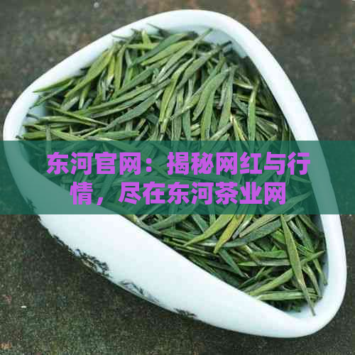 东河官网：揭秘网红与行情，尽在东河茶业网