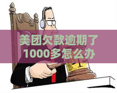 美团欠款逾期了1000多怎么办