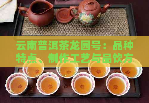 云南普洱茶龙园号：品种特点、制作工艺与品饮方法的全面解析