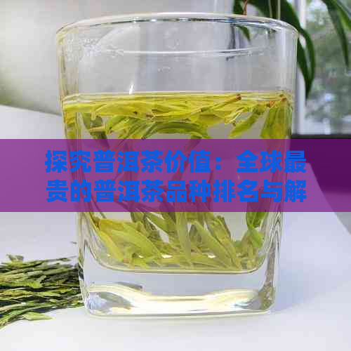 探究普洱茶价值：全球最贵的普洱茶品种排名与解析