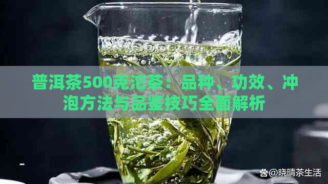 普洱茶500克沱茶：品种、功效、冲泡方法与品鉴技巧全面解析