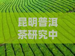 昆明普洱茶研究中心地址电话及查询