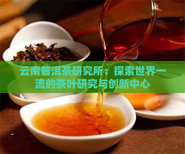 云南普洱茶研究所：探索世界一流的茶叶研究与创新中心