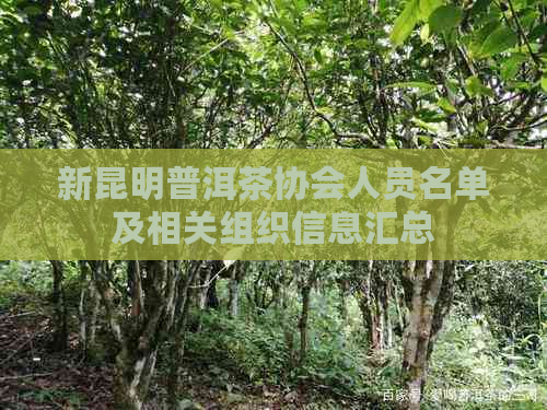 新昆明普洱茶协会人员名单及相关组织信息汇总