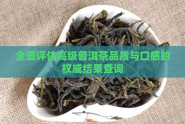 全面评估高级普洱茶品质与口感的权威结果查询