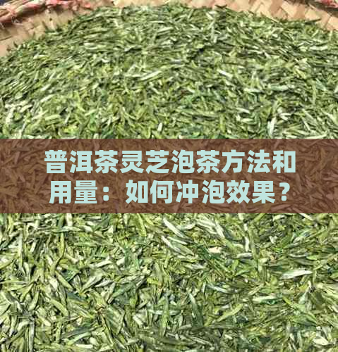 普洱茶灵芝泡茶方法和用量：如何冲泡效果？