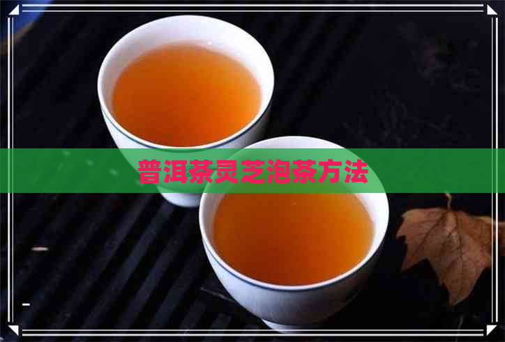 普洱茶灵芝泡茶方法