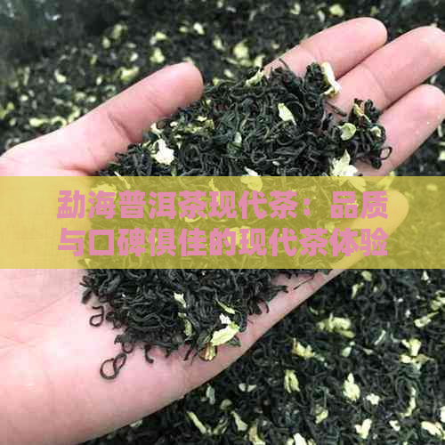 勐海普洱茶现代茶：品质与口碑俱佳的现代茶体验