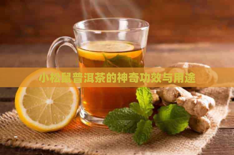 小松鼠普洱茶的神奇功效与用途