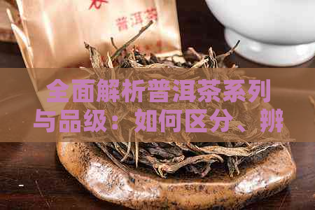 全面解析普洱茶系列与品级：如何区分、辨别和选购优质茶叶