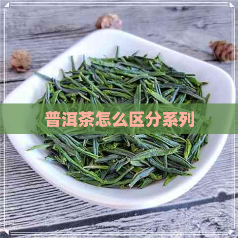 普洱茶怎么区分系列