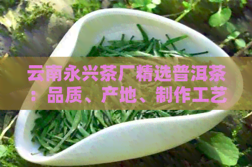 云南永兴茶厂精选普洱茶：品质、产地、制作工艺等全方位解析与比较