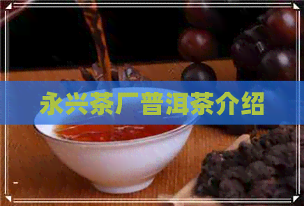 永兴茶厂普洱茶介绍