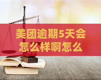 美团逾期5天会怎么样啊怎么办：探讨逾期后果及应对策略