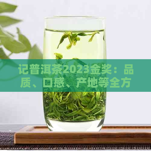 记普洱茶2023金奖：品质、口感、产地等全方位详解，助您成为普洱茶专家