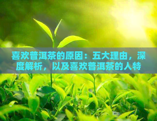 喜欢普洱茶的原因：五大理由，深度解析，以及喜欢普洱茶的人特点。