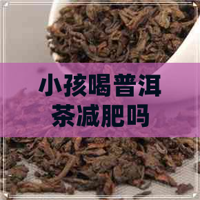 小孩喝普洱茶减肥吗