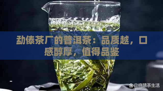 勐傣茶厂的普洱茶：品质越，口感醇厚，值得品鉴