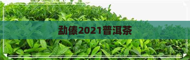 勐傣2021普洱茶