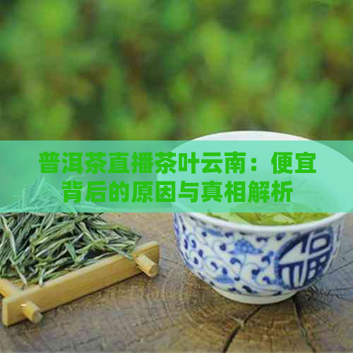 普洱茶直播茶叶云南：便宜背后的原因与真相解析