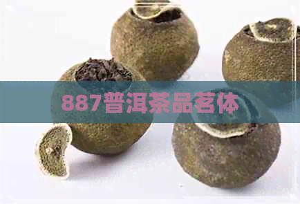 887普洱茶品茗体