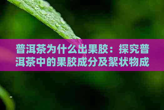 普洱茶为什么出果胶：探究普洱茶中的果胶成分及絮状物成因