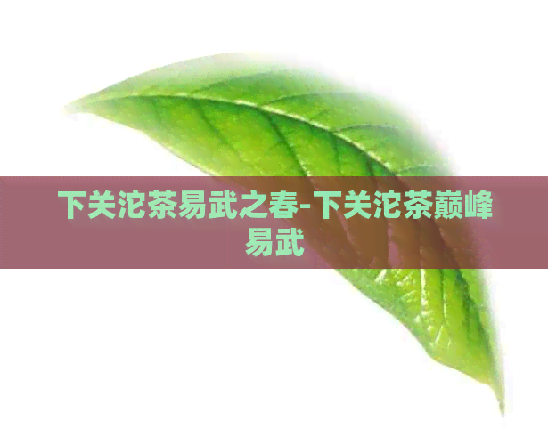 下关沱茶易武之春-下关沱茶巅峰易武