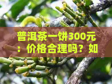 普洱茶一饼300元：价格合理吗？如何鉴别优质普洱茶？