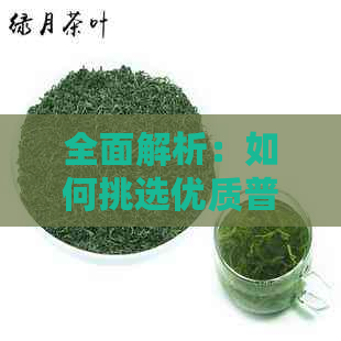 全面解析：如何挑选优质普洱茶饼，了解各种类型与特点