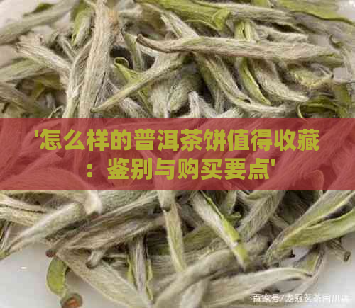 '怎么样的普洱茶饼值得收藏：鉴别与购买要点'