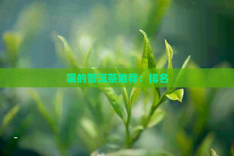 喝的普洱茶推荐：排名