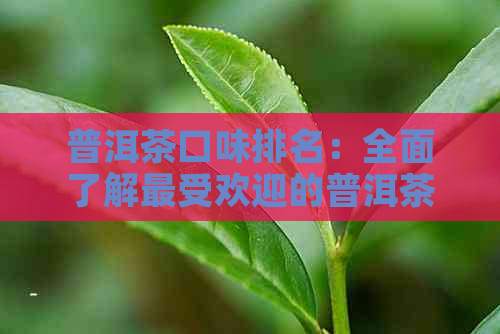 普洱茶口味排名：全面了解更受欢迎的普洱茶品种及口感评价