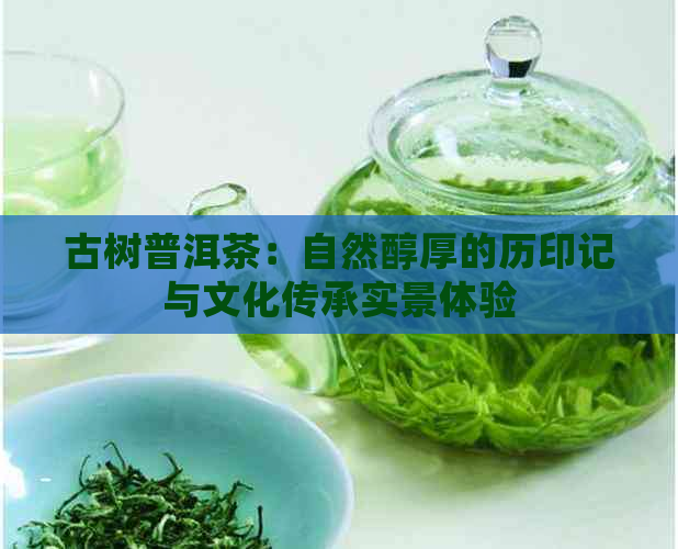 古树普洱茶：自然醇厚的历印记与文化传承实景体验