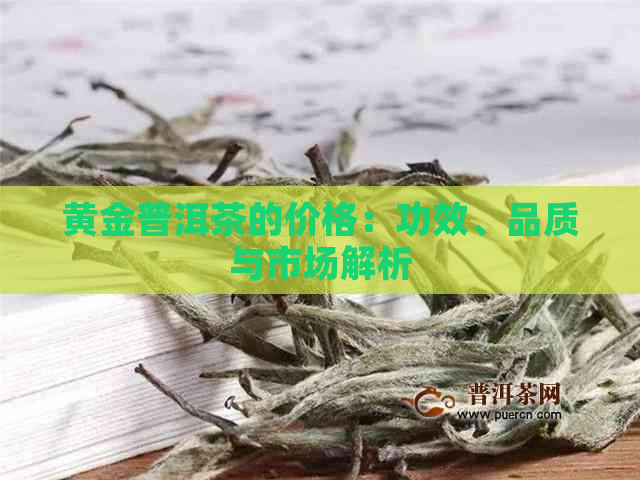 黄金普洱茶的价格：功效、品质与市场解析