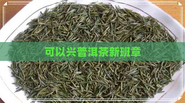 可以兴普洱茶新班章