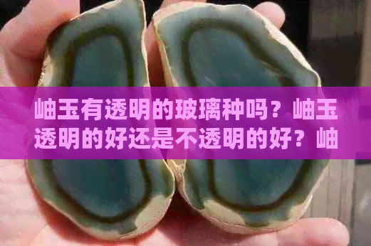 岫玉有透明的玻璃种吗？岫玉透明的好还是不透明的好？岫玉透明的值钱吗？