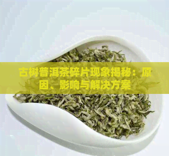 古树普洱茶碎片现象揭秘：原因、影响与解决方案