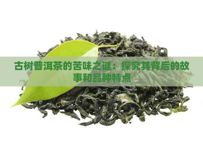 古树普洱茶的苦味之谜：探究其背后的故事和品种特点