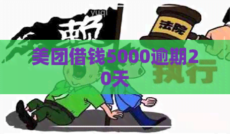 美团借钱5000逾期20天