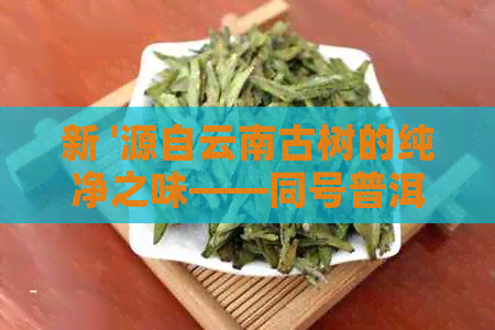 新 '源自云南古树的纯净之味——同号普洱茶'