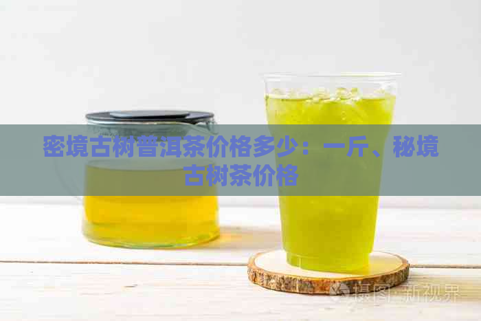 密境古树普洱茶价格多少：一斤、秘境古树茶价格