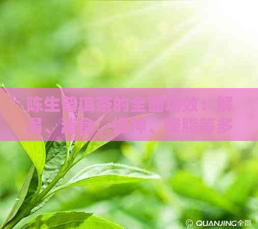 陈生普洱茶的全面功效：解渴、消食、提神、降脂等多方面作用解析