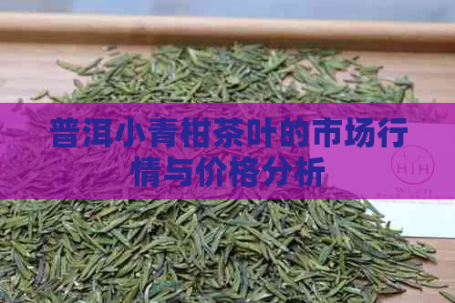 普洱小青柑茶叶的市场行情与价格分析