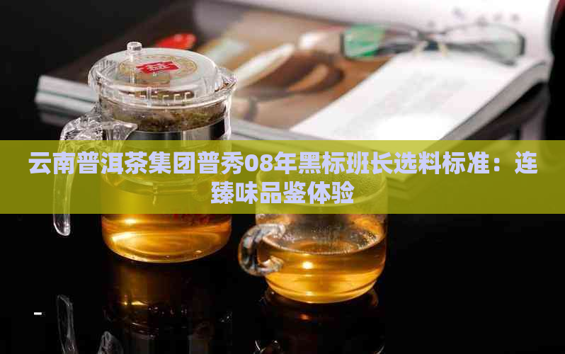 云南普洱茶集团普秀08年黑标班长选料标准：连臻味品鉴体验