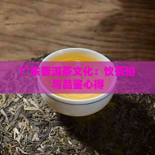 广东普洱茶文化：饮茶俗与品鉴心得