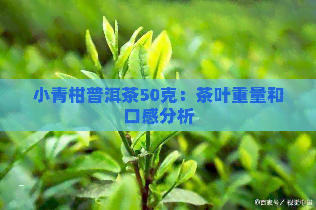 小青柑普洱茶50克：茶叶重量和口感分析