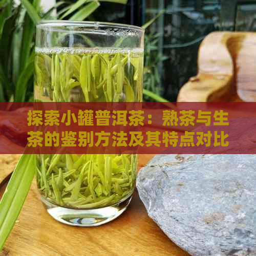 探索小罐普洱茶：熟茶与生茶的鉴别方法及其特点对比