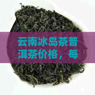 云南冰岛茶普洱茶价格，每斤多少钱？