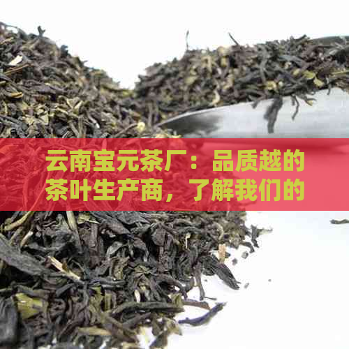 云南宝元茶厂：品质越的茶叶生产商，了解我们的产品、历与制作工艺