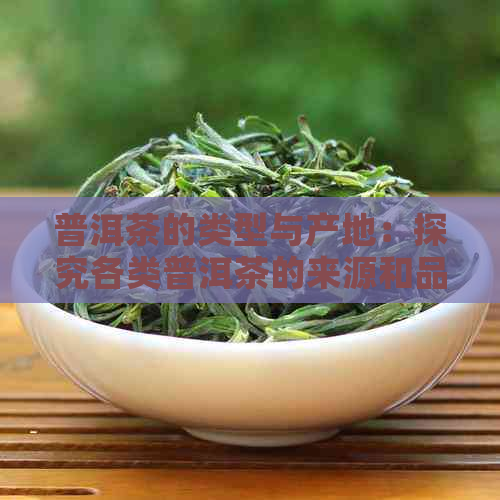 普洱茶的类型与产地：探究各类普洱茶的来源和品质特征